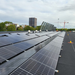 Solar nrg